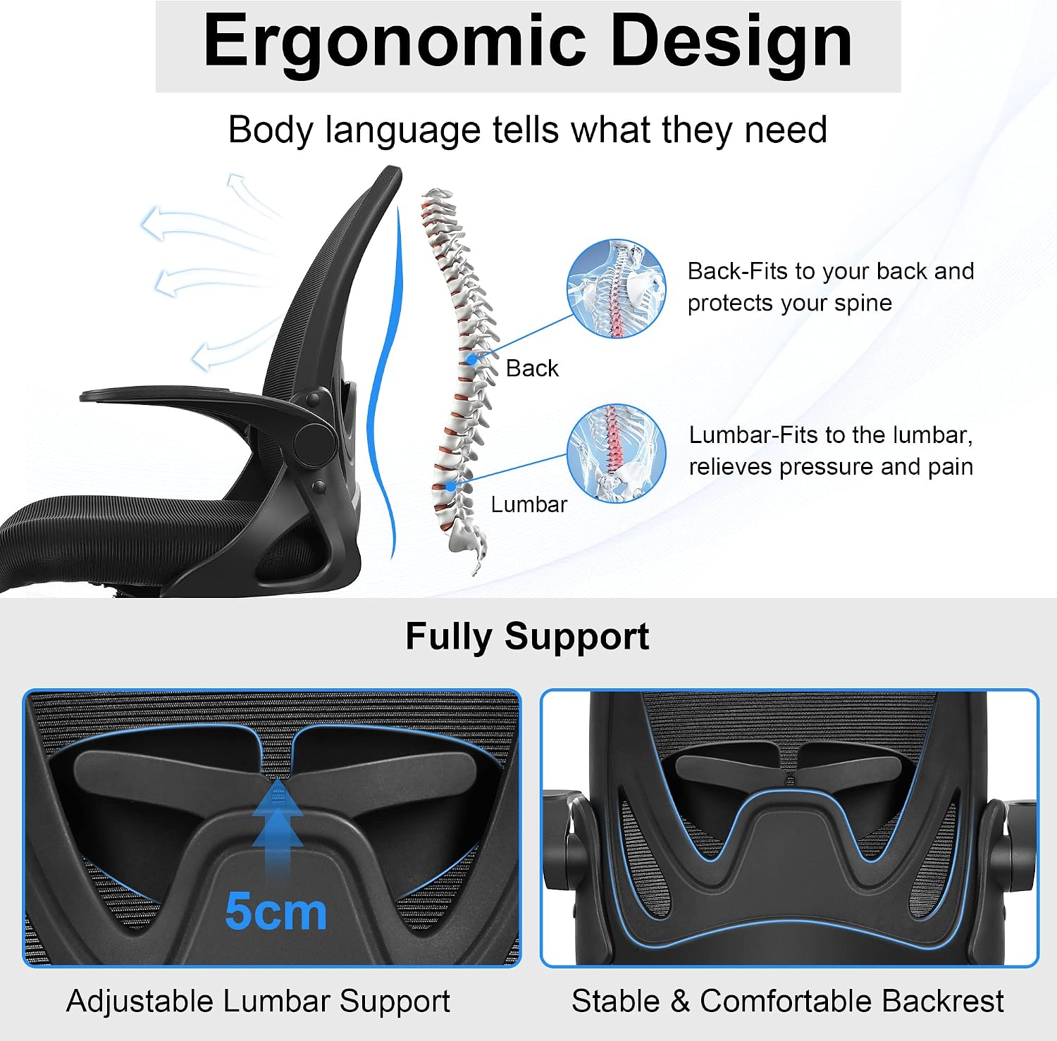 Primy Office Chair Ergonomic Desk Chair with Adjustable Lumbar Support and Height