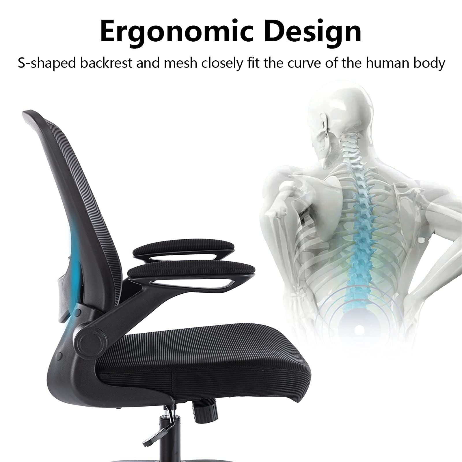 Ergonomic Breathable Mesh with Lumbar Support Computer Office Chair Ho –  primyoffice